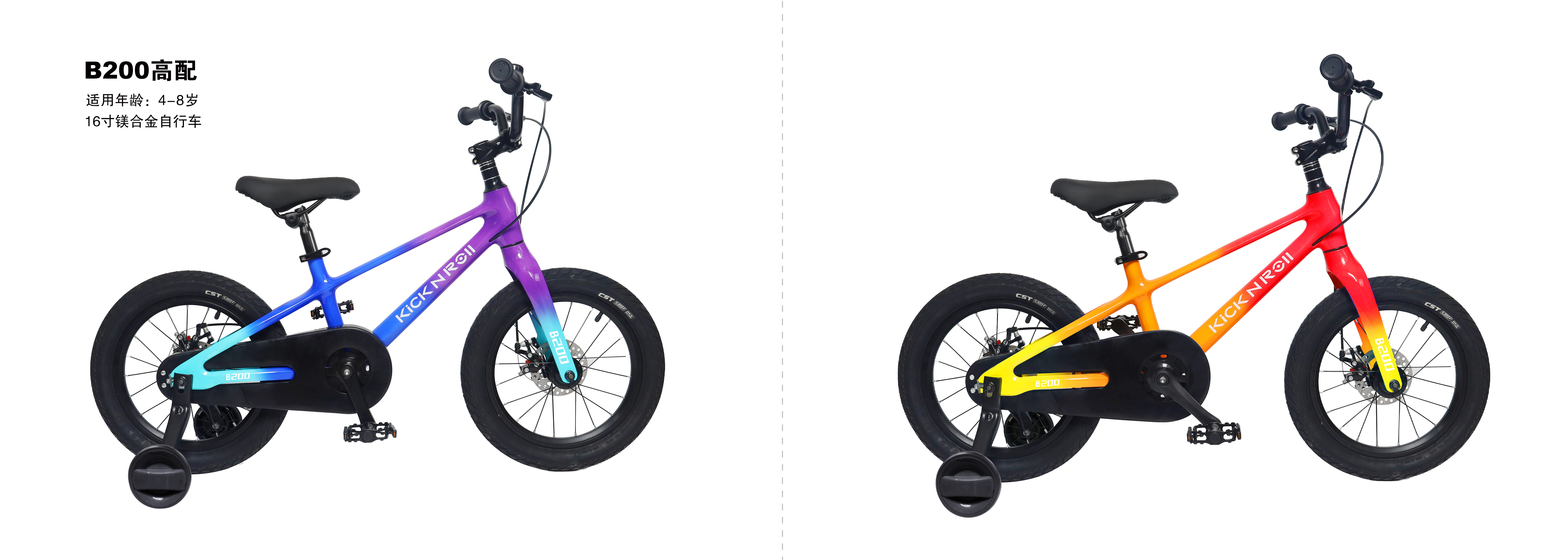 B200 bicycle